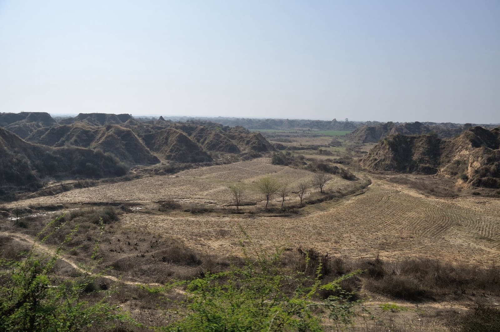 Eroded ravine landscape along the Chambal in Rajasthan