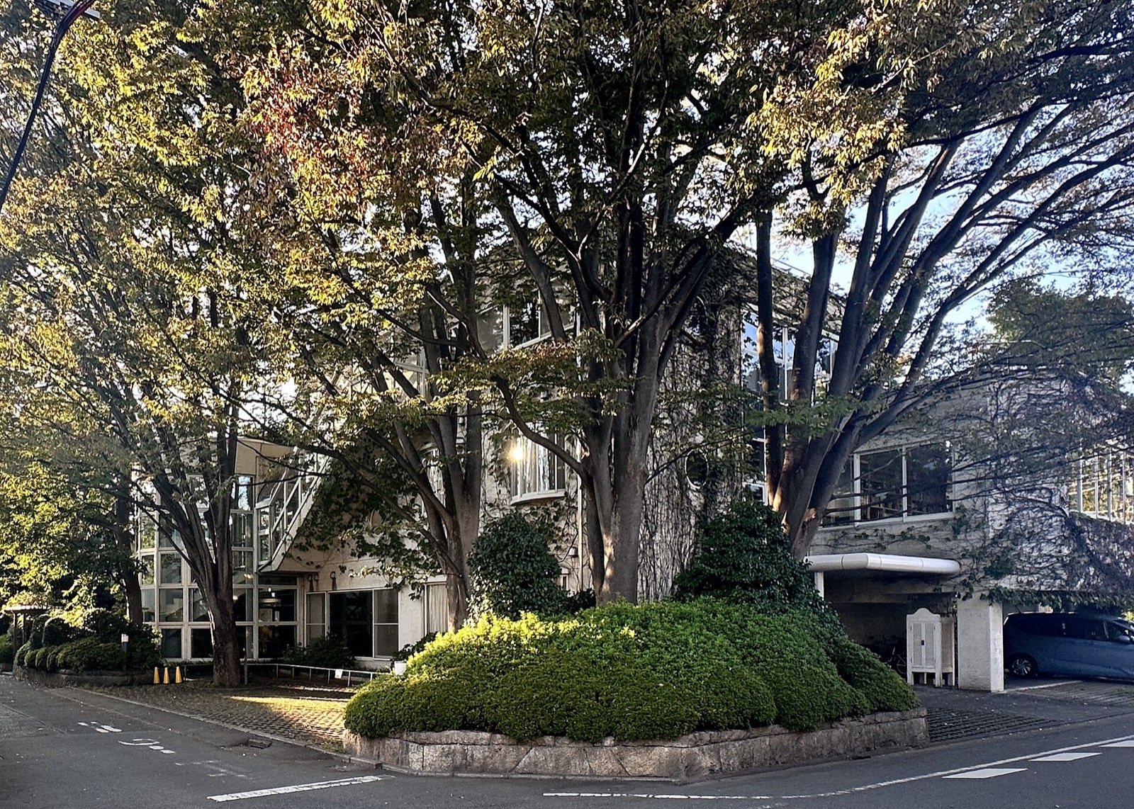 Studio Ghibli's studio building behind large trees in Tokyo