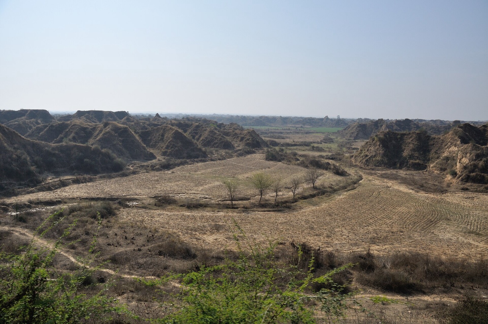 Eroded ravine landscape along the Chambal in Rajasthan