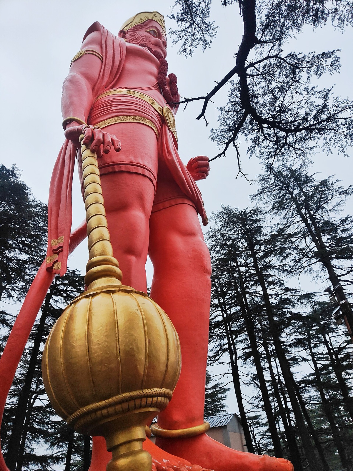 Low angle view of a giant orange Hanuman statue holding a golden mace among deodar trees