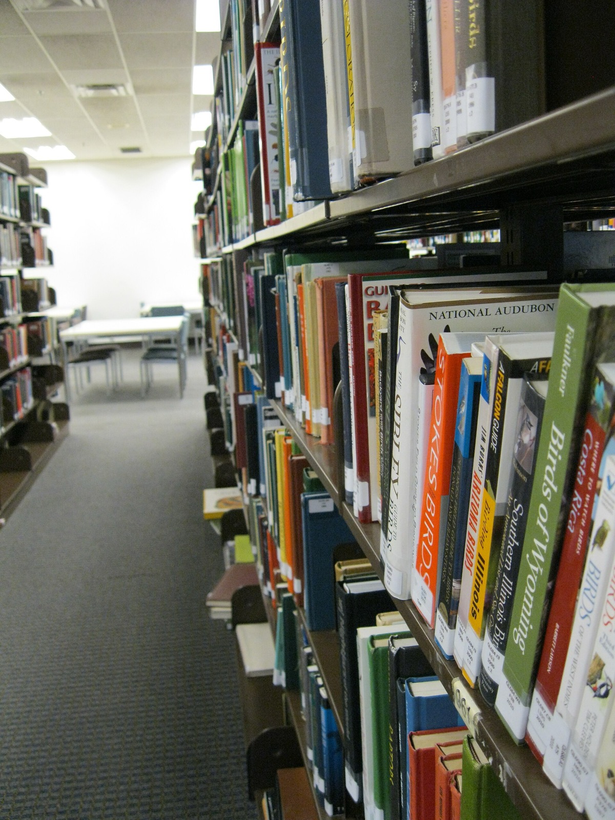 Rows of books on shelves inside the Undergraduate Library with study tables behind